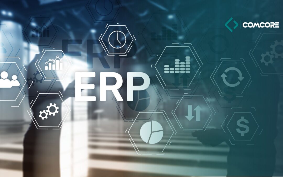 How do ERP solutions affect the speed of enterprise development?